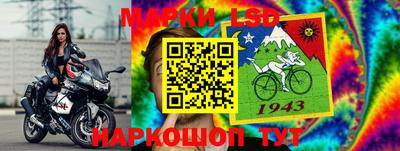 шишки Бузулук
