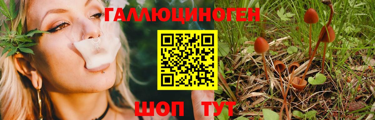 где можно купить наркотик  Псилоцибиновые грибы Psilocybine cubensis  Вход с VPN  Тольятти 